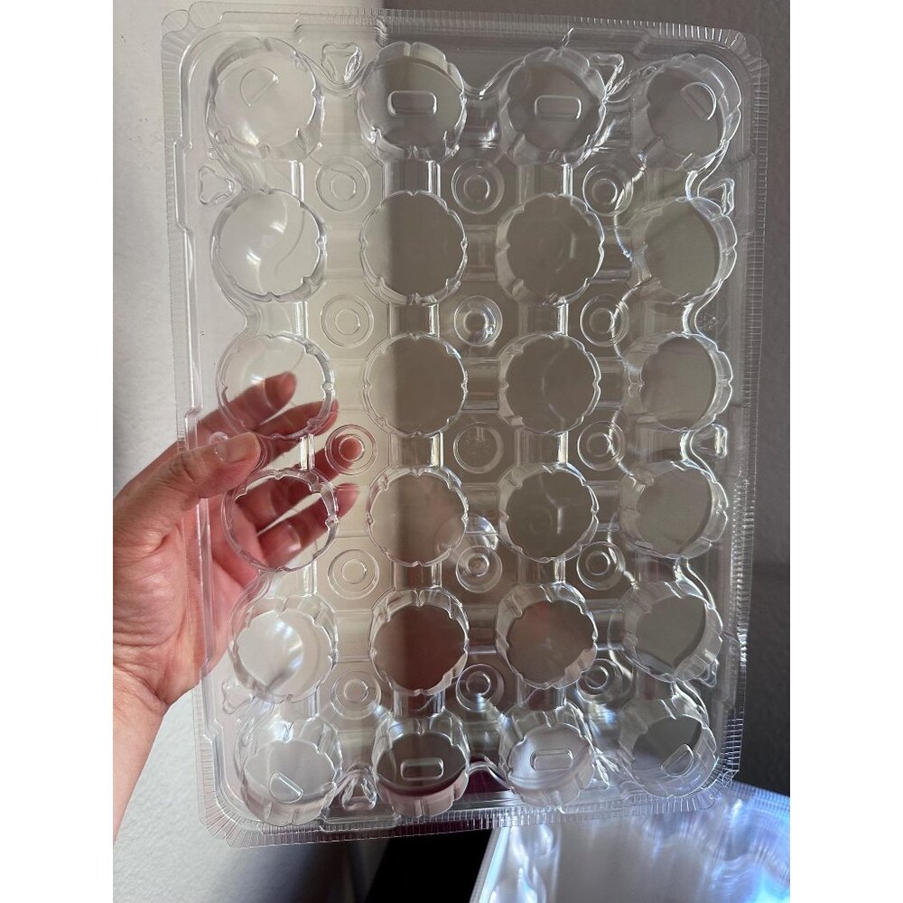 24 Count Mini Cupcake Container with Detachable Tall Dome Lids Clear Plastic